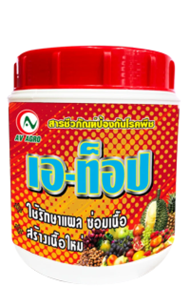 เอ ท๊อป